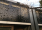Piękne dekoracyjne panele metalowe na zewnątrz, dekoracyjne panele ścienne ze stali Zatwierdzone przez ISO9001 dostawca